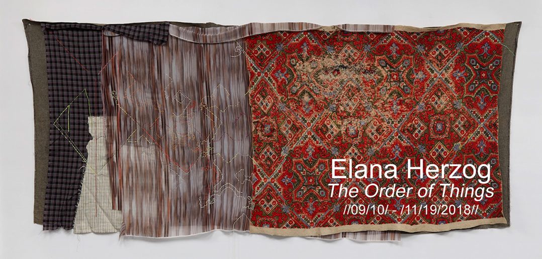Elana Herzog: The Order of Things
